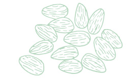 Light green Mary Kay skin care ingredient illustration of almonds