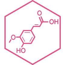 Ein pinkes, hexagonales Symbol, das eine chemische Strukturformel darstellt: einen Benzolring mit einer Methoxygruppe (O&ndash;CH₃), einer Hydroxygruppe (OH) und einer Propens&auml;ure-Seitenkette (&ndash;CH=CH&ndash;COOH).