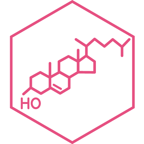 Illustration (pink) eines Inhaltsstoffs: Cholesterin