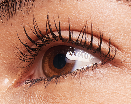 Nahaufnahme eines Auges, das 1 x mit Mary Kay Lash Love Fanorama Define + Lift getuscht wurde
