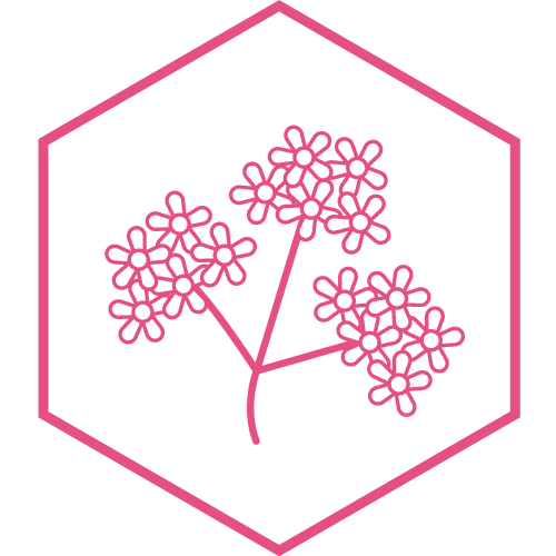 Verbena flower icon in pink hexagon